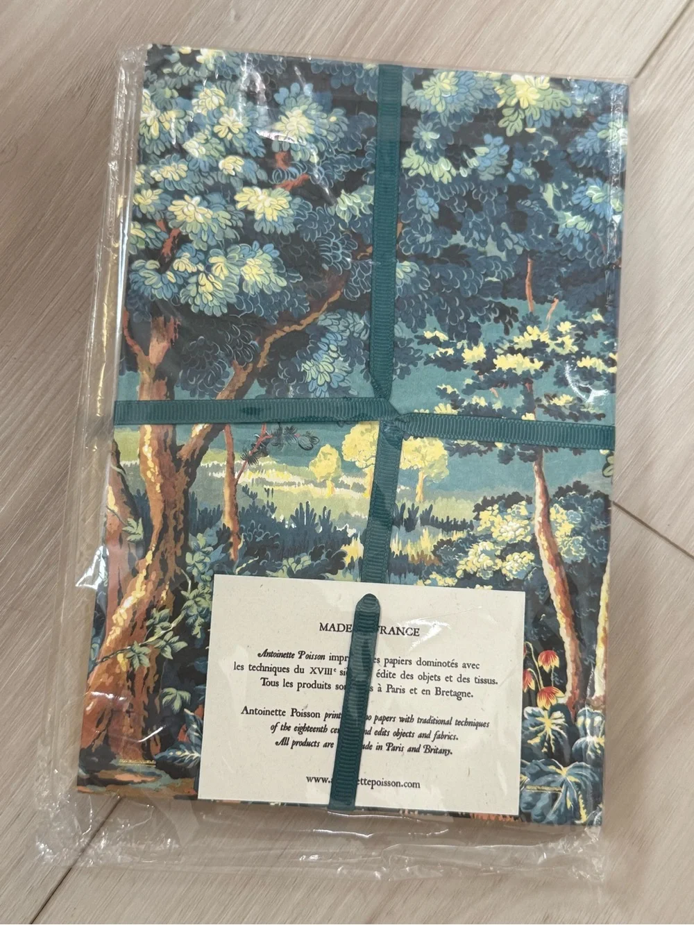 NWT Antoinette Poisson Joli Bois French Domino Paper Notebook Made in France